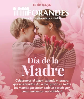 Feliz día de la madre!!! ❤️La vida no viene con un manual, viene con una mamá! 
Forandes SAS